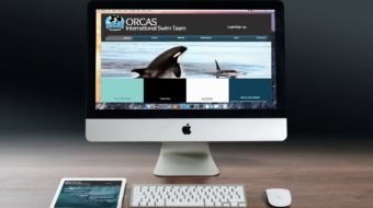 Orcas swimteam website mockup