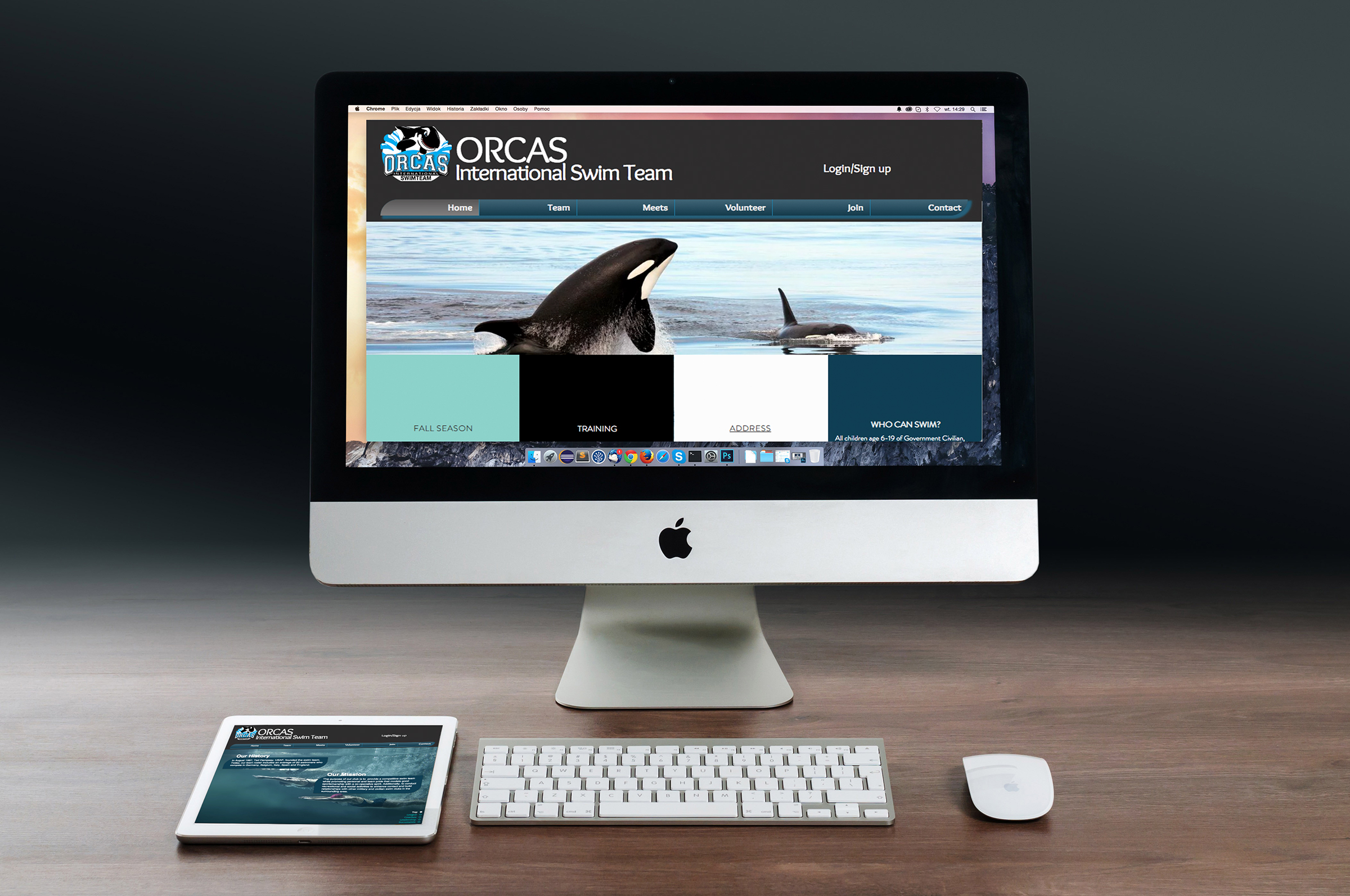 Orcas International Swim Team Website • Laceyleigh Design