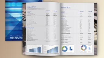 Cobalt Credit Union Annual Report 2020