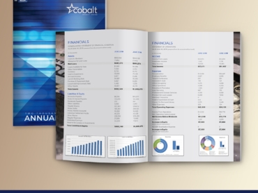 Cobalt Credit Union Annual Report 2020