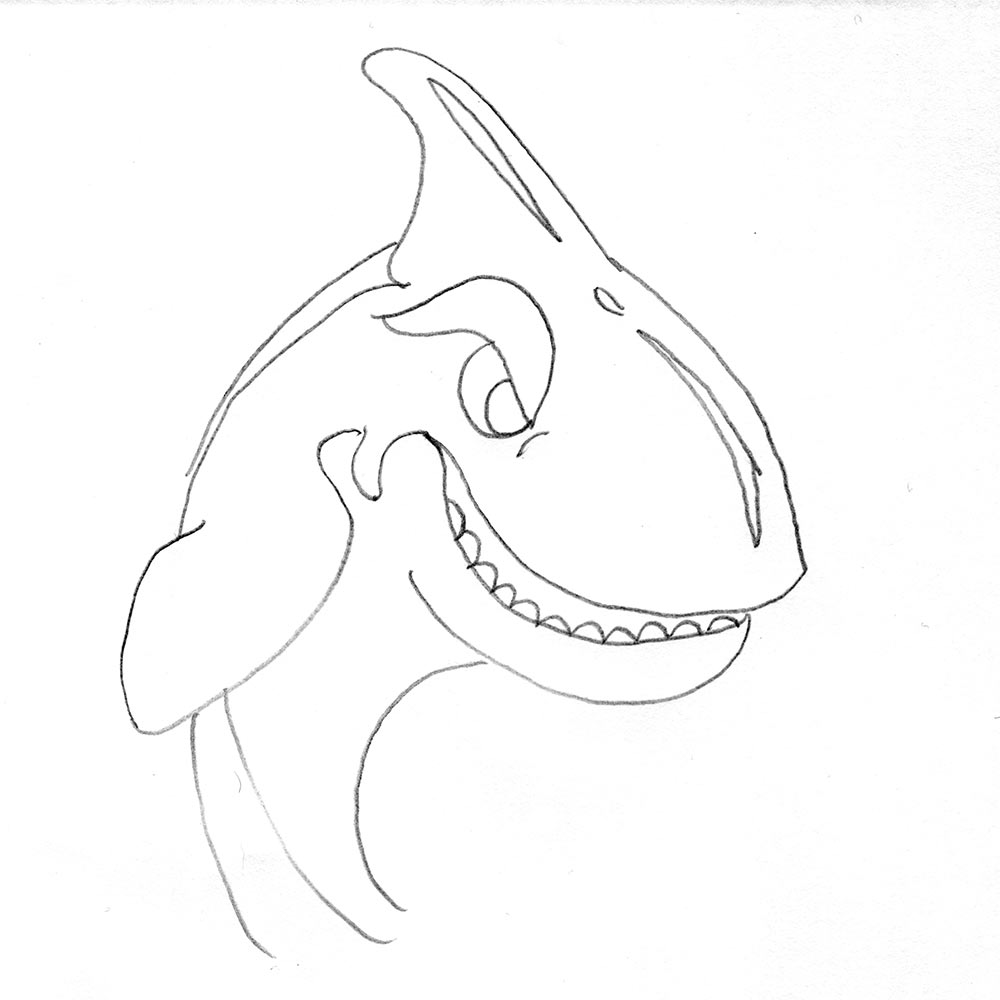 Hand-drawn sketch for the Orca mascot in the sports team logo design. This sketch was drawn by me and later developed using Adobe Illustrator. 